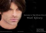wael simo